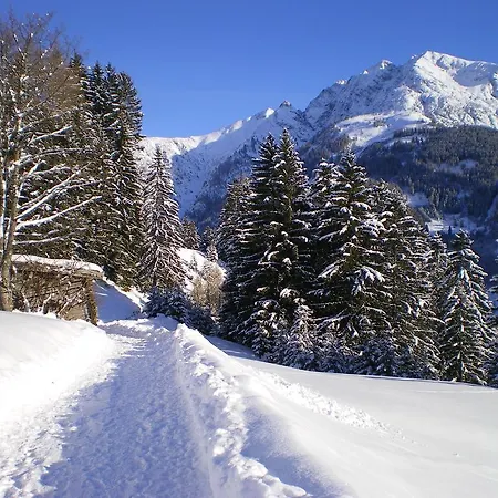 Gasthof Haus Bergfrieden 3*