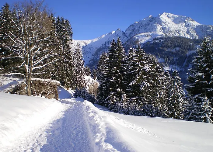 Hotel Haus Bergfrieden 3*