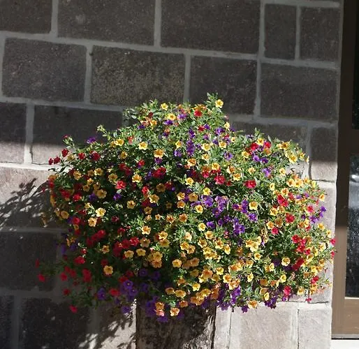 Haus Bergfrieden Bach (Tyrol)