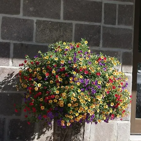 Haus Bergfrieden Bach (Tyrol)